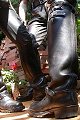Variety of boots
