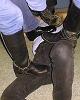 A private back room is available for boot play.
