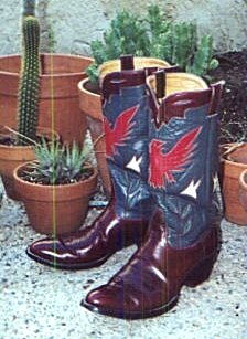 14-inch Austin-Hall Boots