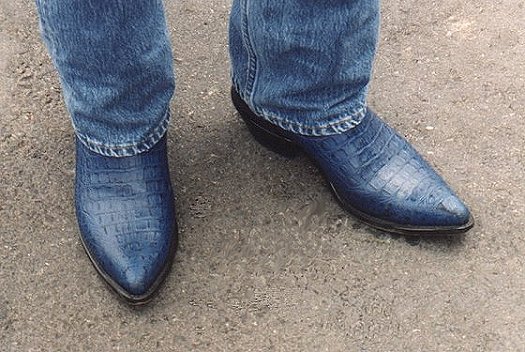 Blue Cowboy Boots