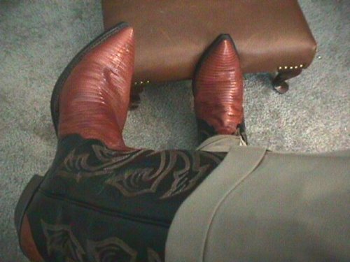 Cowboy Boots