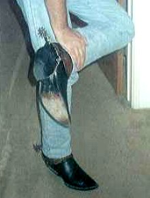 Cowboy Boots