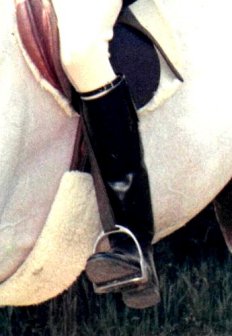 Riding Boot #1