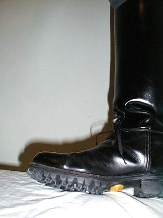 Dehner Patrol Boots
