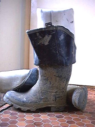 Hood Bullseye Muddy Waders