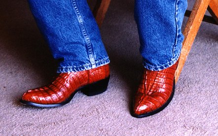 Cowtown Caimen Alligators