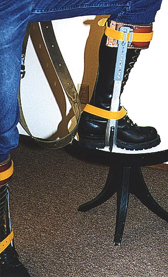 Logger Boots