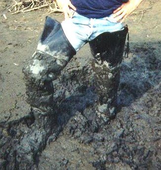 Muddy Waders 1