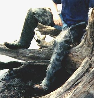 Muddy Waders 2