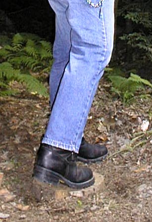 Wesco Boss Engineer Boots
