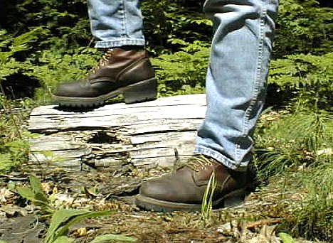 Red Wing Loggers
