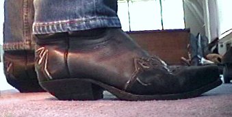 Sendra Cowboy Boots