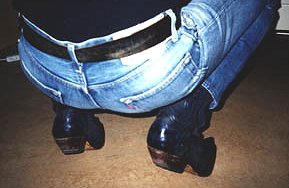 Sendra Cowboy Boots