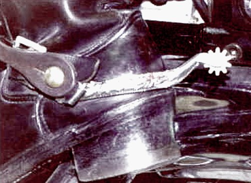 Engineer boot with spur