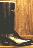 Shiny Cowboy Boots