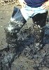 Fun in the Mud! - 2 photos
