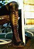 White's Logger - Smoke Jumper Boots - 3 photos