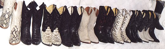 Cowboy Boots