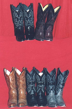 Exotic Skins