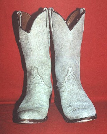Lucchese Boots